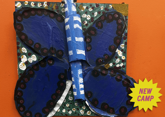 Bugs, Butterflies, and Bees